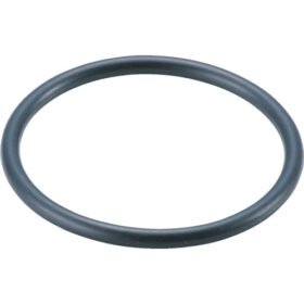TRUSCO Air Luxury Ftr-65G O-Ring FTR-018